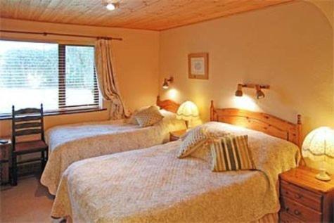 Bunratty Heights Guesthouse Номер фото